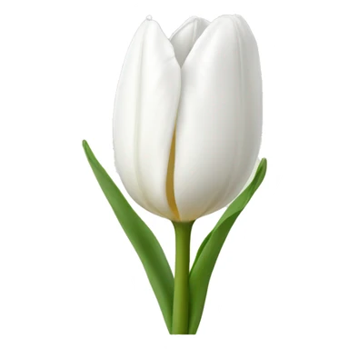 White tulip sticker