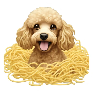Poodle swimming in noodles sticker