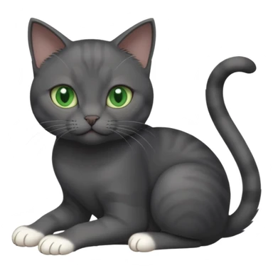 beautiful female solid dark grey cat with green eyes, white toes/paws and white patch on her chest playing sticker
