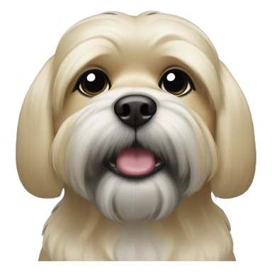 Blonde shitzu with dark gray mouth sticker