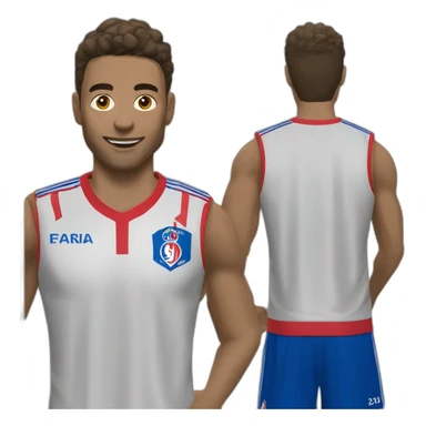 Olympique lyonnais sticker