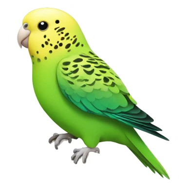 green budgie with yellow head sticker