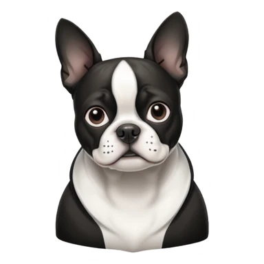 Boston terrier sticker