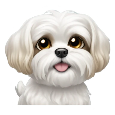 A white maltese / shitzoo dog with tan spots, curly fur and big eyes sticker