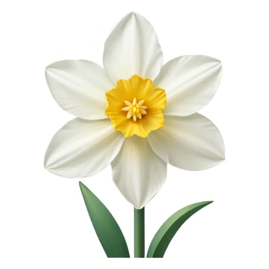 Narcissus flower sticker