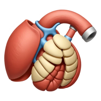 rotator cuff sticker