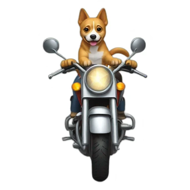 dog riding a motorcycle sticker