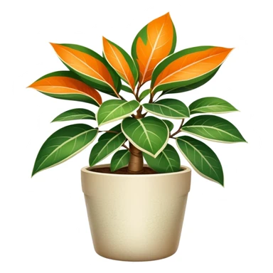 orange Variegated Ficus elastica in a pot sticker