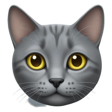 Grey Chartreux cat sticker