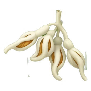 ashwagandha plant sticker