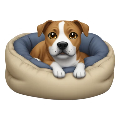 Staffie dog in small bed sticker