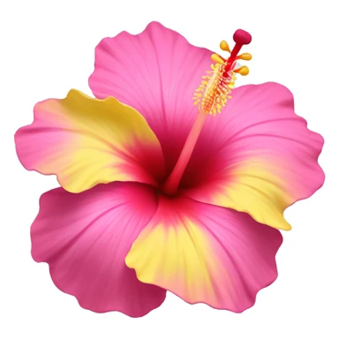 yellow and pink hibiscus flower sticker