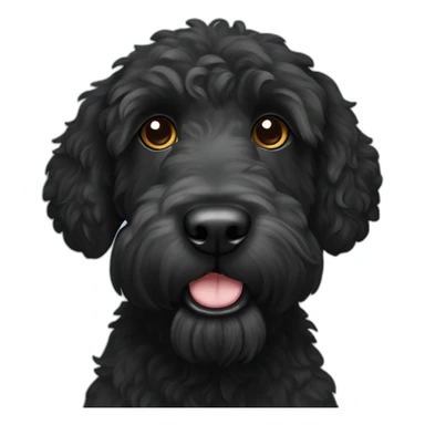 Black labradoodle whit name Bicho sticker