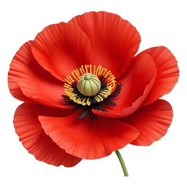 poppy flower sticker