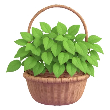 Plectranthus Verticillatus with trailing vines and extremely round circular penny-shaped leaves in a coconut fiber basket sticker