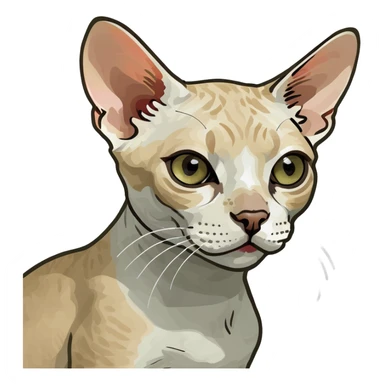 devon rex cat sticker
