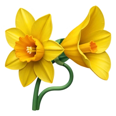 Daffodil sticker