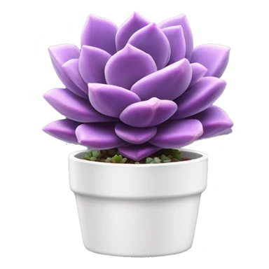 Purple echeveria succulent in white pot sticker