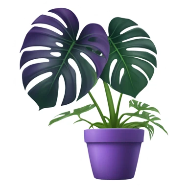 all violet monstera plant in pot sticker