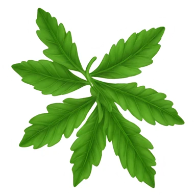 Medicinal leaf sticker