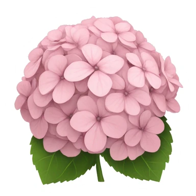 Light pink hydrangeas sticker