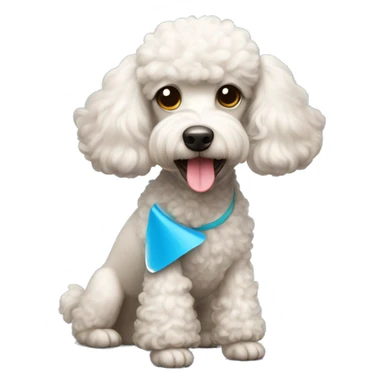 Poodle with frisbee sticker
