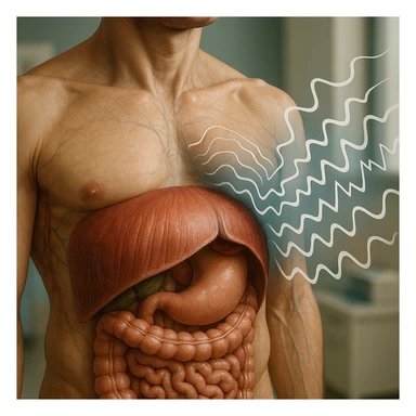 hyper realistic human diaphragm filtering stress, anatomical details, stress waves blocked or deflected by diaphragm, clinical atmosphere, natural colors, modern medical environment sticker