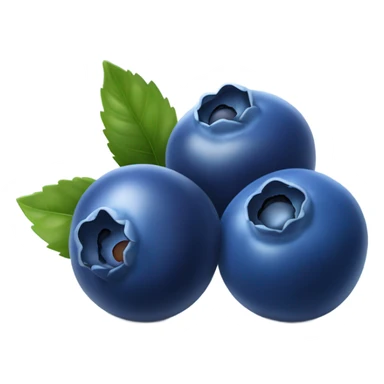 Blueberries  sticker