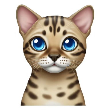 Seal Bengal cat with Blue eyes standing sticker