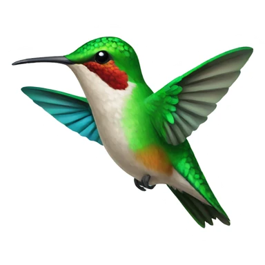 hummingbird Bird sticker