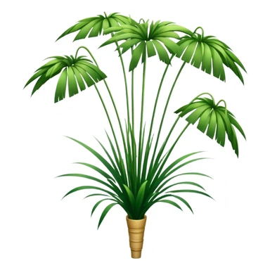 Tall reed-like papyrus plant with feathery tops, green stems and umbrella-shaped foliage sticker