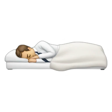 Macron sleeping sticker