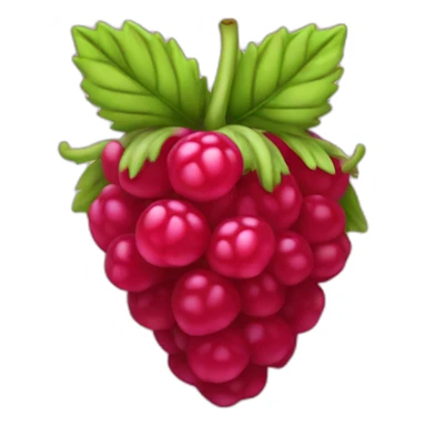 Framboise fruit sticker