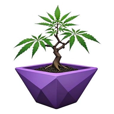  small short black bonsai pot plant purple marijuana maple with triangular angular faceted asymmetrical originally shaped body  sticker