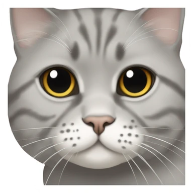 a Scottish fold-eared cat with a white spot on the muzzle on the left where the whiskers grow sticker