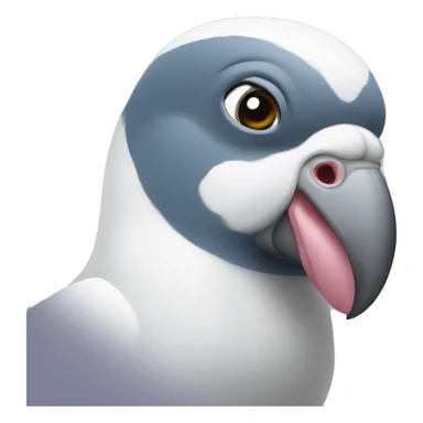 ibishu pigeon sticker