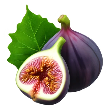 figs  sticker