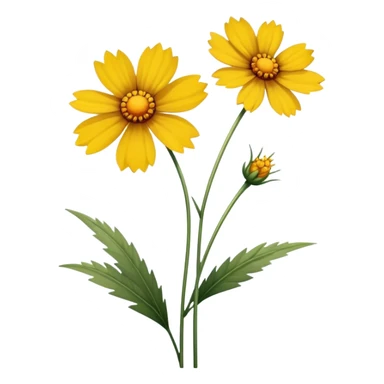 single Coreopsis, straight stem sticker