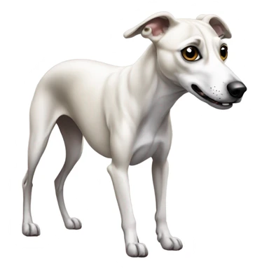 Whippet pooping sticker