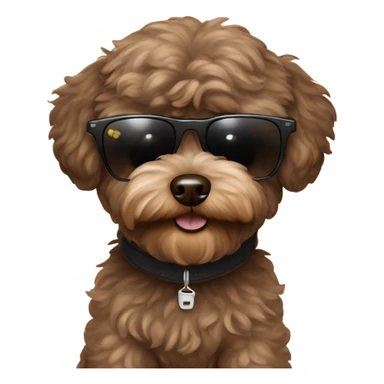 Dark brown maltipoo with sunglasses  sticker