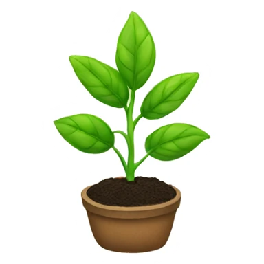 a seedling
 sticker