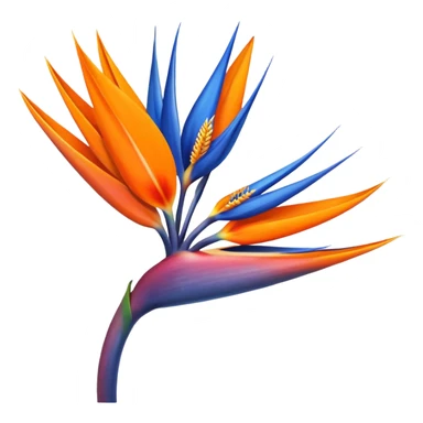 bird of paradise flower sticker