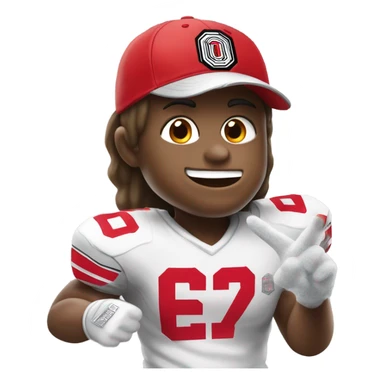 Ohio state fan sticker