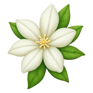 Jasmin flower  sticker