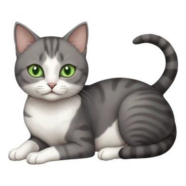 full body tiny short hair dark grey and white cat with white front legs and green  eyes lying down sticker