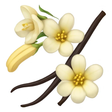Vanilla  sticker