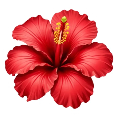 Flower of hibicus sticker