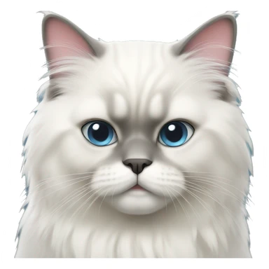 White Himalayan cat sticker