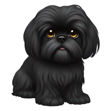 Completely black shiz tzu with long hair  sticker