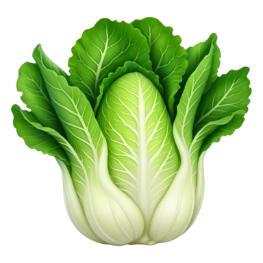 Napa Cabbage plant  sticker